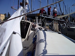 IMGP2226