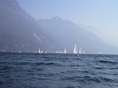 IMGP2246