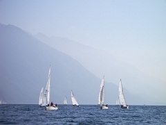 IMGP2249