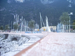 IMGP2265