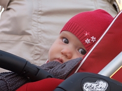 europeen2008_1108_175337