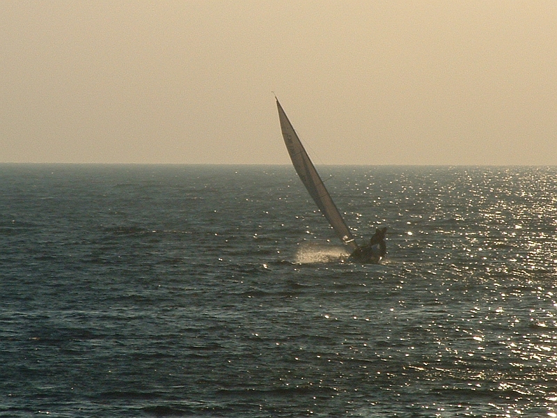 02010127.JPG