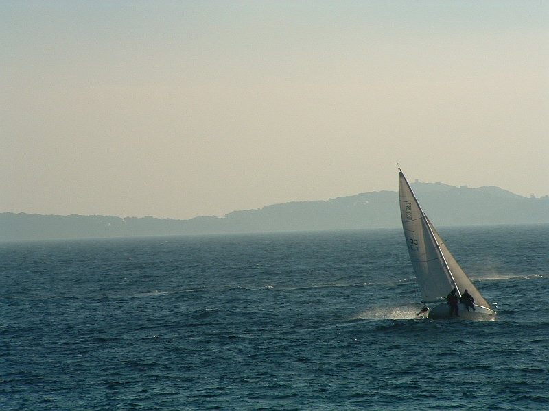 02010145.JPG