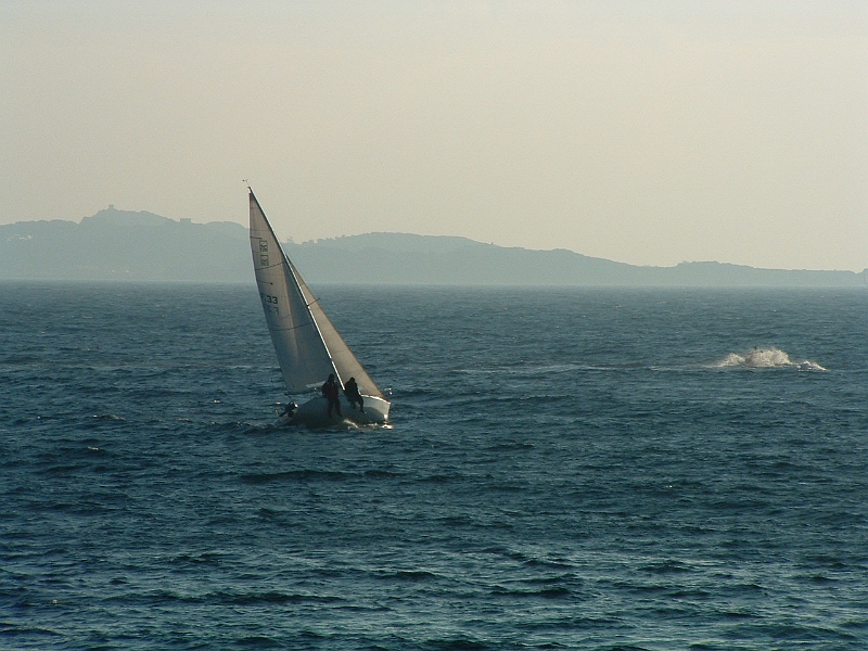 02010147.JPG