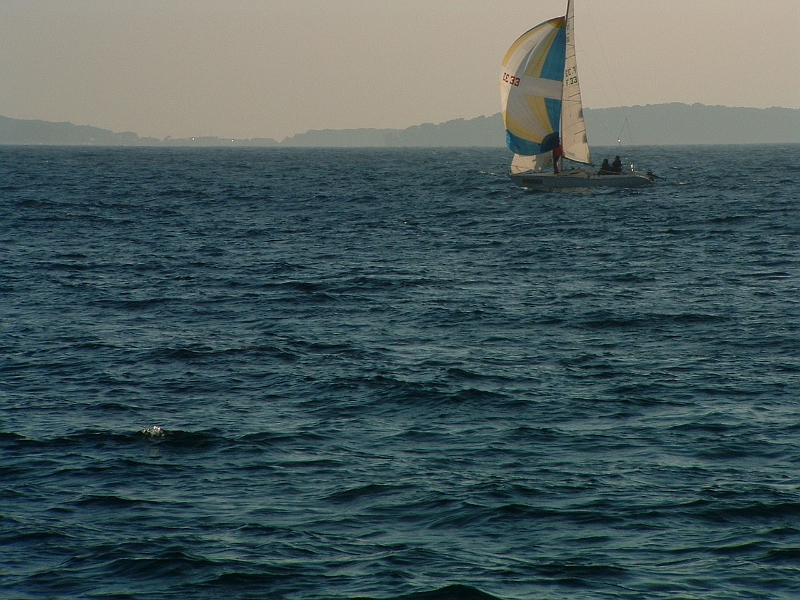 02010152.JPG