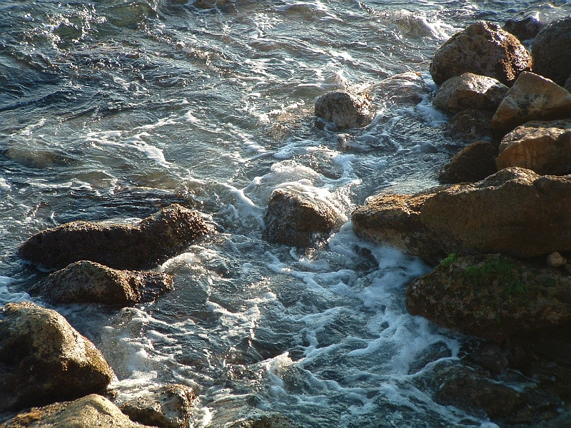 02010179.JPG