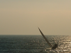 02010121