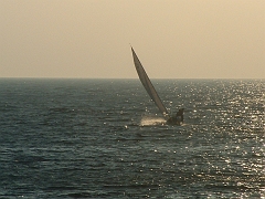 02010127