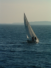 02010141