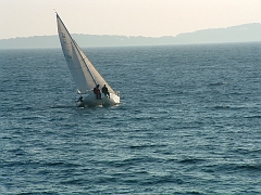 02010142
