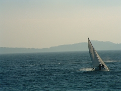 02010145