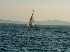 02010151