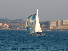 02010161