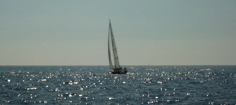 PICT0008.JPG