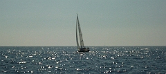 PICT0008