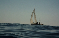 PICT0030