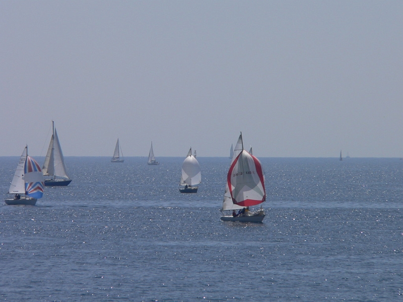 muguet_06_passage_1er_tour12.jpg