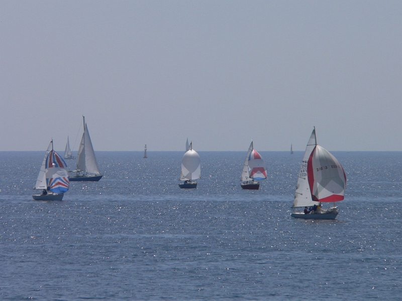 muguet_06_passage_1er_tour16.jpg
