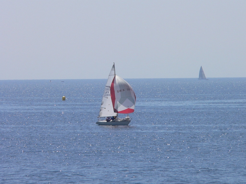 muguet_06_passage_1er_tour17.jpg