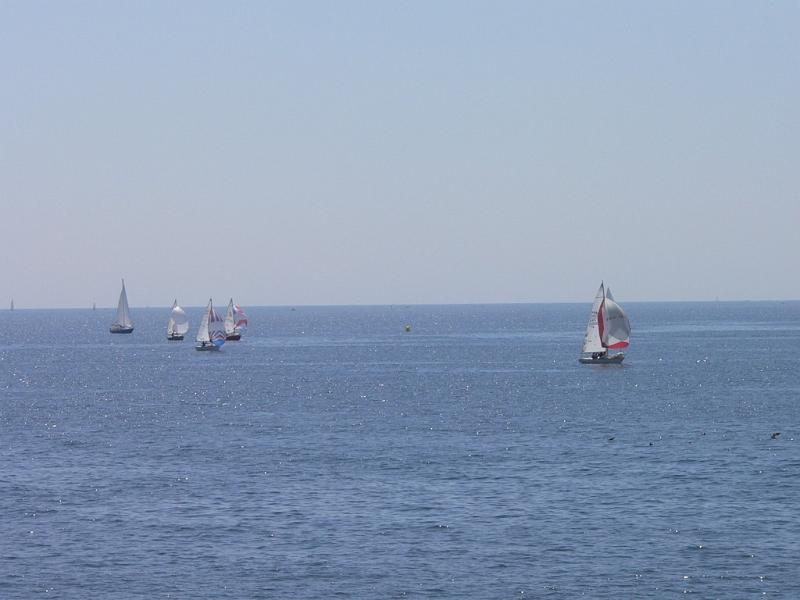 muguet_06_passage_1er_tour19.jpg