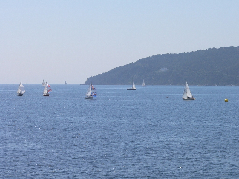 muguet_06_passage_1er_tour3.jpg
