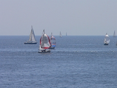 muguet_06_passage_1er_tour1