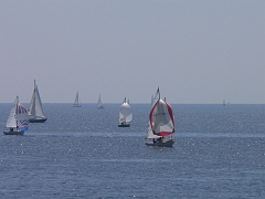 muguet_06_passage_1er_tour12