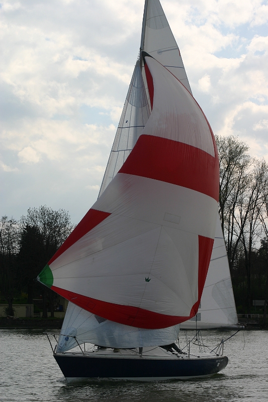 IMG_7334.JPG
