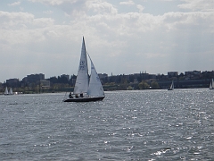 IMGP0772