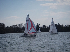 IMGP0780
