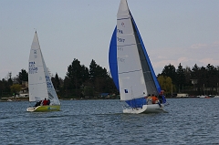 IMG_7337
