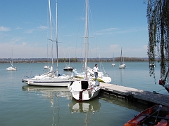pic01216