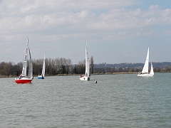 pic01254