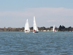 pic01268