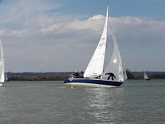 pic01354