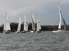 pic01431