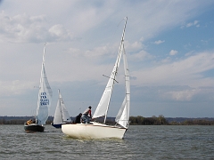 pic01444