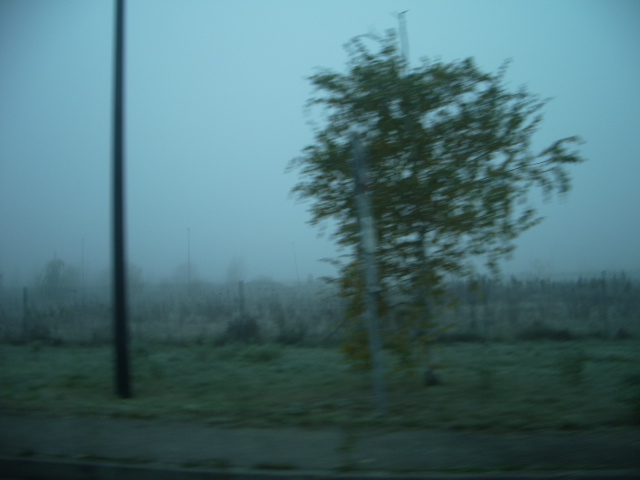IMGP2301.JPG