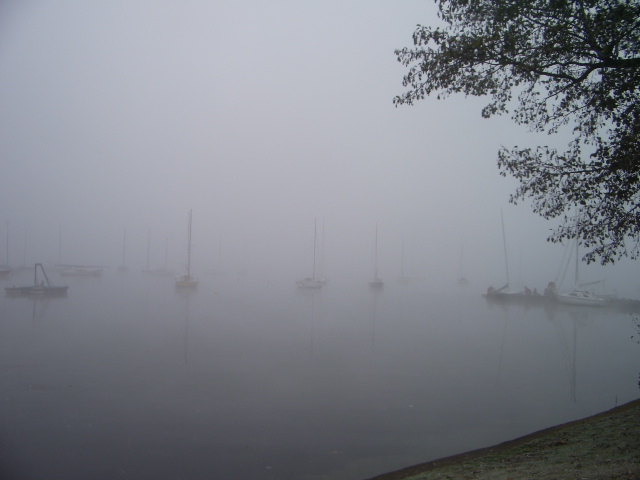 IMGP2303.JPG