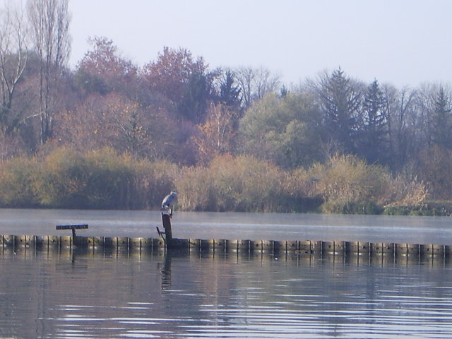 IMGP2330.JPG