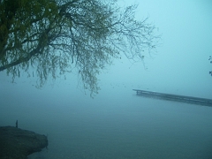 IMGP2302
