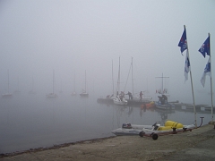 IMGP2304