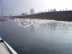 IMGP2311