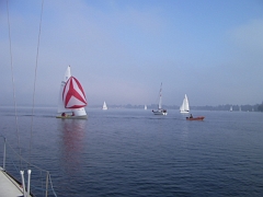 IMGP2315
