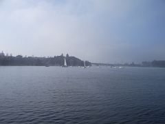 IMGP2317