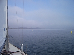 IMGP2319