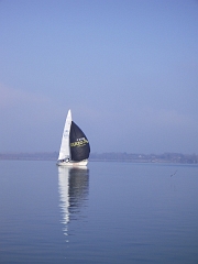 IMGP2329