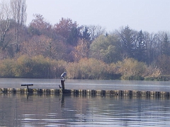 IMGP2330