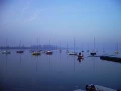 IMGP2339