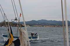 05mai20070241